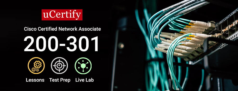 pearson-200-301-complete : Cisco CCNA (200-301)