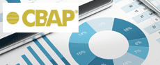 IIBA CBAP© Certification image