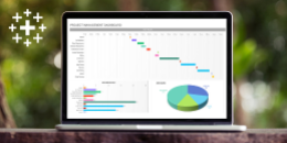 DV-TABLEAU.AW1 - Mastering Data Visualization with Tableau image