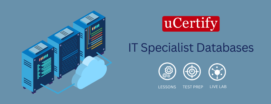 ITSPC-DATABASE : IT Specialist Databases