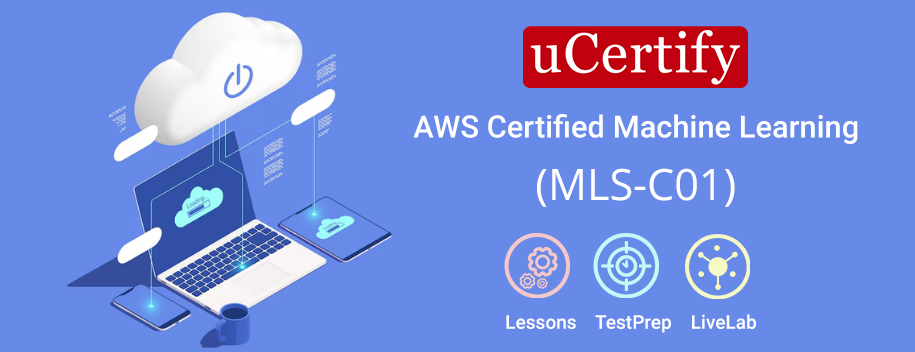 MLS-C01.AE1 : AWS Certified Machine Learning Study Guide: Specialty (MLS-C01)