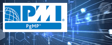 PMI Program Management Professional Certification image