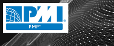 PMI Project Management Professional Certification image
