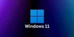 WINDOWS11.AP1_pro