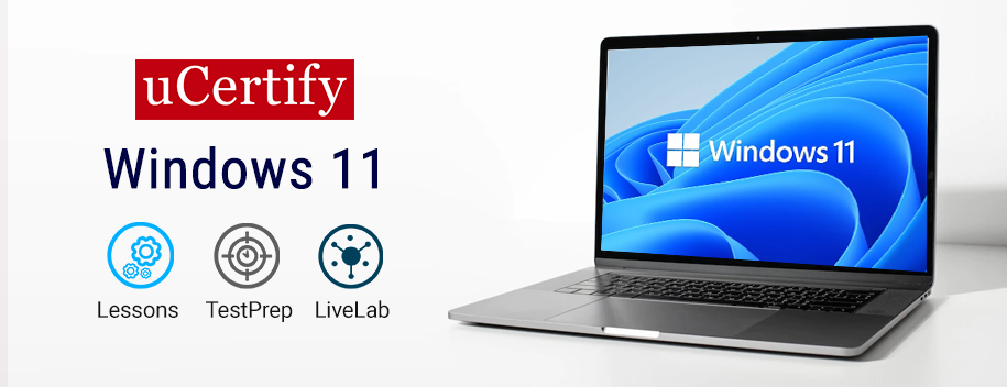 WIN11-AE1 : Windows 11